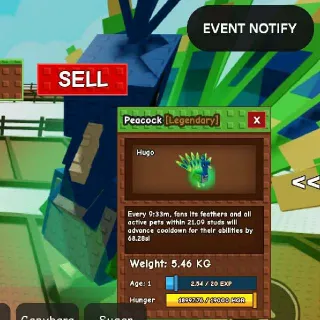 54.6kg at age 100 Huge Titanic Peacock