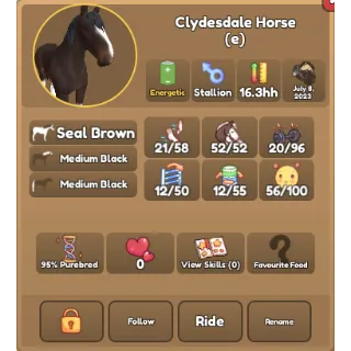 95% Seal Brown Clydesdale