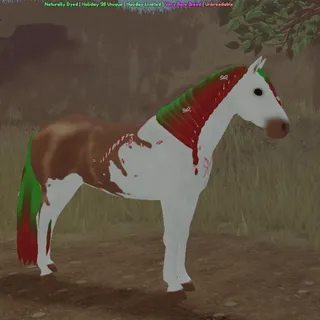 ND | Connemara Pony | 2025 Event
