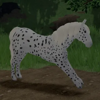 [Legacy Coat] Leopard Friesian [V1]