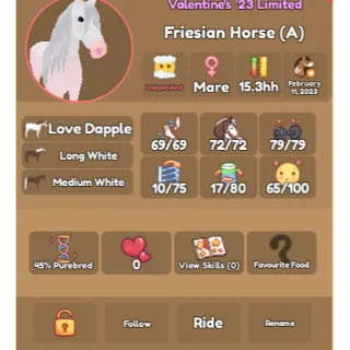 LOVE DAPPLE FRIESIAN [2023]