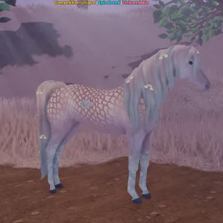 Pastel Mermaid Rainbow Arabian