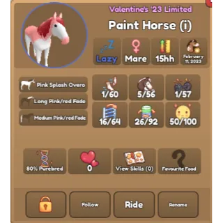 80% Pink Splash Overo Paint Horse