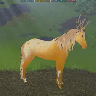 Piebald Deer Marwari | Golden Apple 
