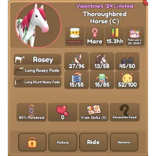 2024 Rosey Thoroughbred