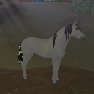 MM | RC | IUH | Grey Andalusian
