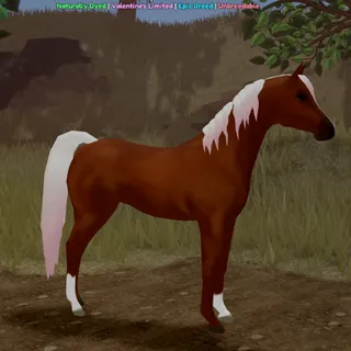 [ND] [Limited] Love Fade Arabian