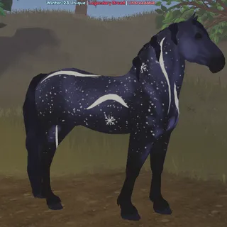 2023 | Midnight Snowstorm Percheron