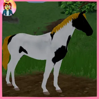 IUH | Dutch Warmblood | Topaz