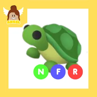 NFR Turtle