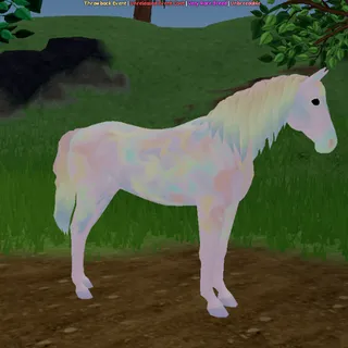 Oil Slick Dutch Warmblood
