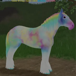 Confetti Clydesdale | 2024 | Summer