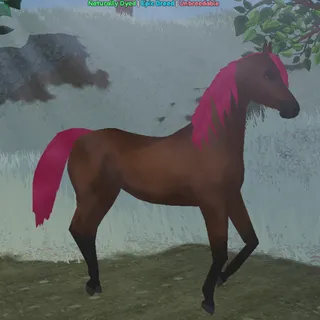 Naturally Dyed Arabian | Mulberry