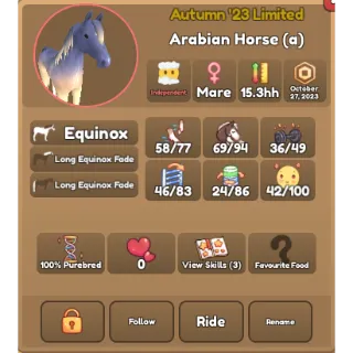 100% Equinox Arabian