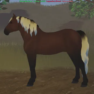 ND | PB | BAY PERCHERON 