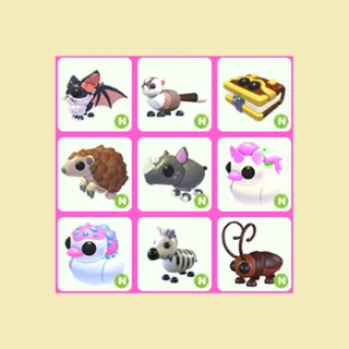 9x Neon Pets