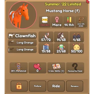 35% Clownfish Mustang