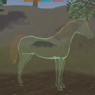 Ghost Arabian