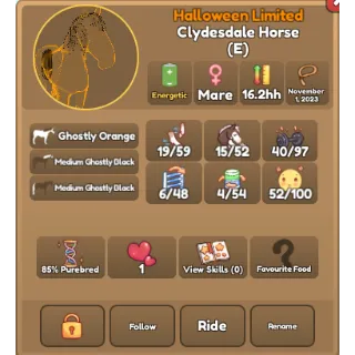 [E] Clydesdale Ghostly Orange