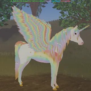 2026 | Rainbow Star Arabian + Wings
