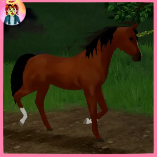 Pumpkin Green Autumn Vine Arabian