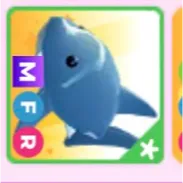 mfr shark