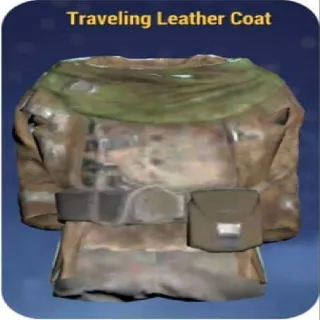 Traveling Leather Coat