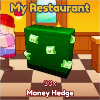 Money Hedge 30x My Restaurant