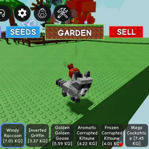Pet