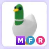 MFR Silly Duck