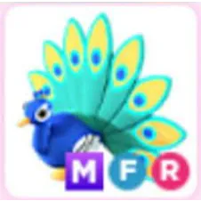Pet | MFR Peacock