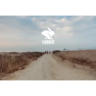 $300.00 USD runinrabbit