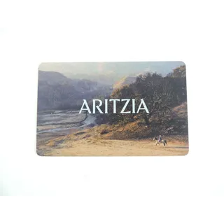 $100.00 USD aritzia