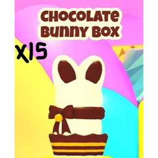 X15 Chocolate Bunny Box 