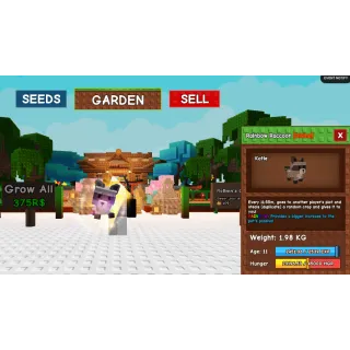 Rainbow Raccoon Grow a Garden