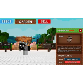 Raccoon grow a garden