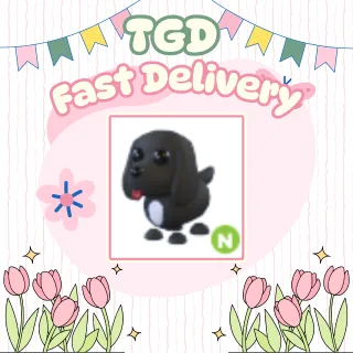 Neon Royal Palace Spaniel