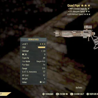 NW PIPE LV1 MAX INVALID God Roll