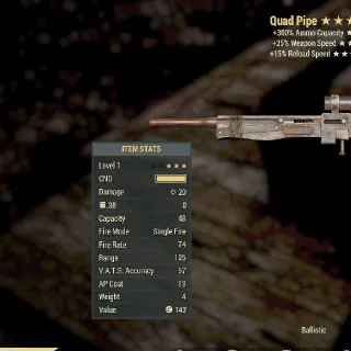 Nw PIPE LV 1 MAX INVALID GOD ROLL