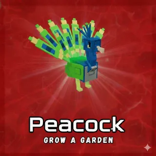 Huge Nightmare Peacock