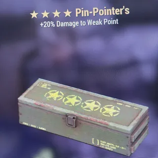100 Pin pointers mods