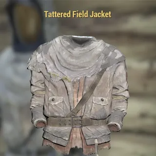 Tattered field jacket