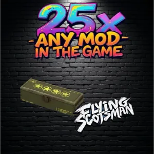 25x Any mods