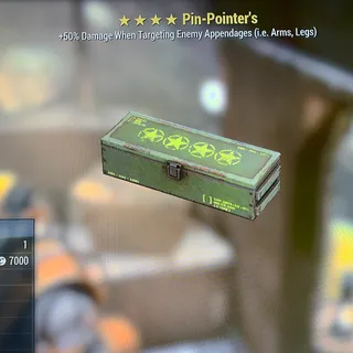 Pin Pointers mod