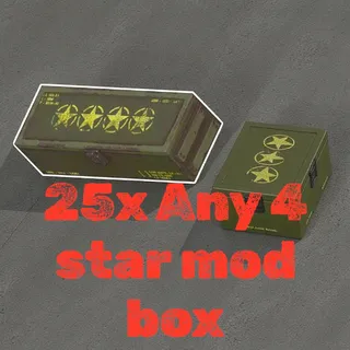 25x Any 4star mods