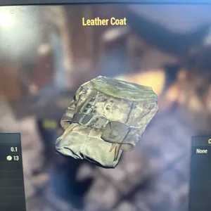 Leather Coat