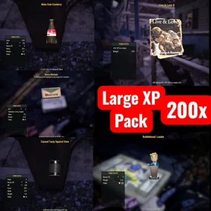 Large XP Pack