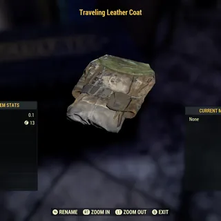 Travelling Leather Coat