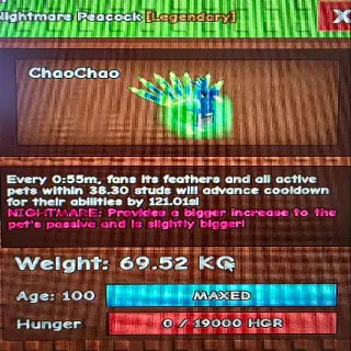 15 Sec NM Peacock w/toy