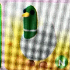NEON silly duck